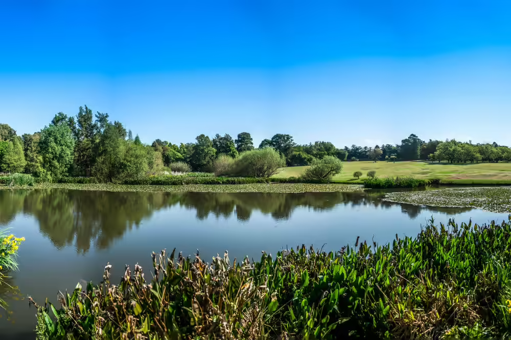 GreenSide